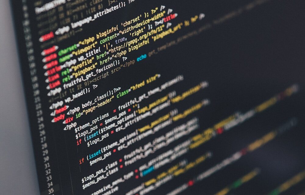 Software development path