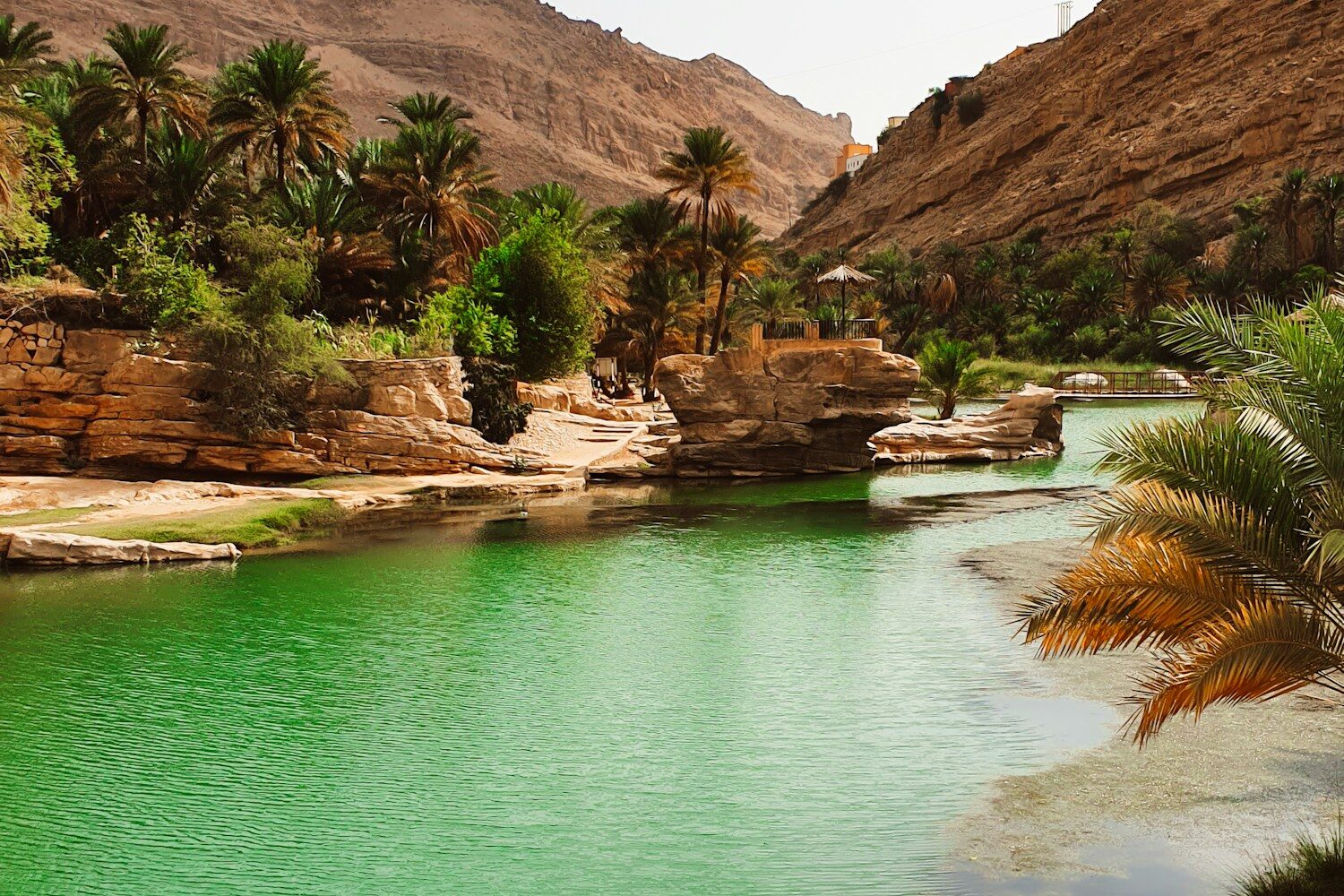 The spring-fed pool ringed by palms