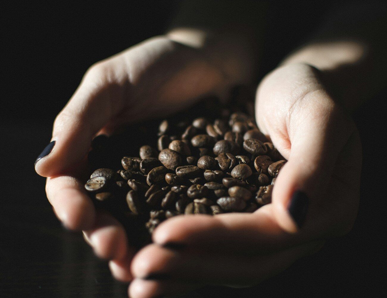 A pair of hands holding freshly roasted beans